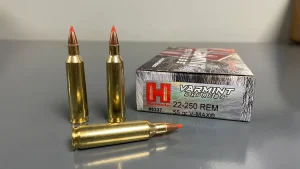 22-250 ammo for sale
