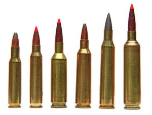 22-250 ammo